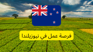 فرصة عمل في نيوزيلندا